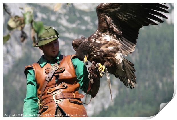 Austria falcon show Print by PhotoStock Israel
