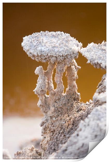 Dead Sea salt formation  Print by PhotoStock Israel