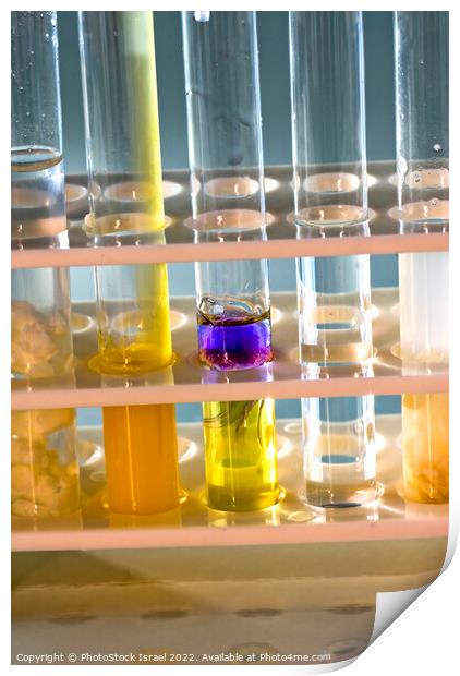 Test tubes in a rack  Print by PhotoStock Israel