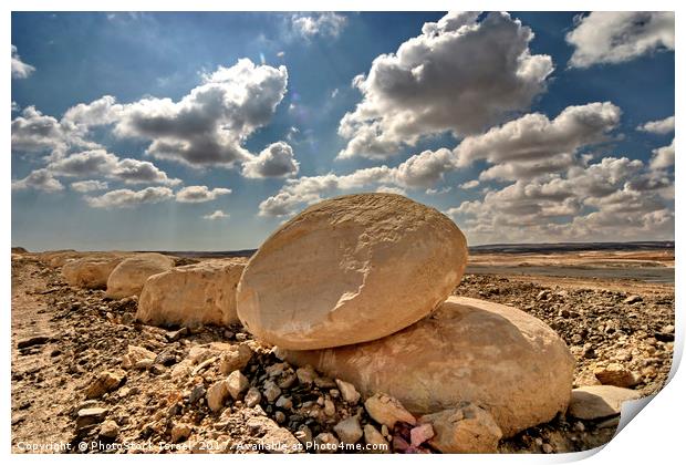 Negev desert Israel Print by PhotoStock Israel