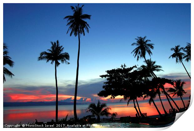 palm trees at sun set Koh Phangan Thailand Print by PhotoStock Israel