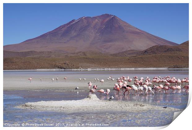 Bolivia, Salar de Uyuni  Print by PhotoStock Israel