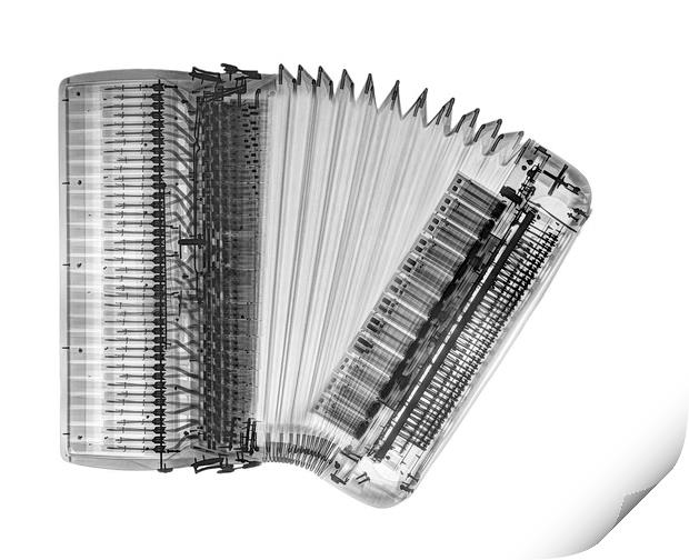 X-ray of an Accordion Print by PhotoStock Israel