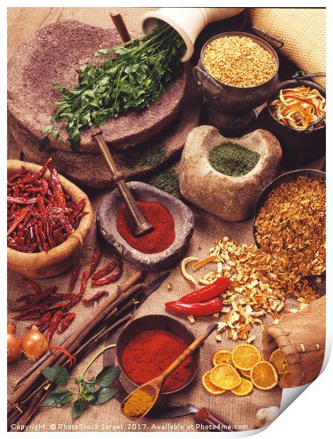 Still life with spices and herbs Print by PhotoStock Israel