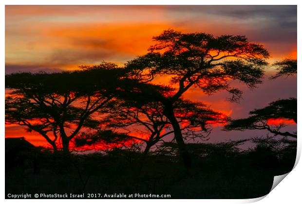 Red African Sunset Print by PhotoStock Israel