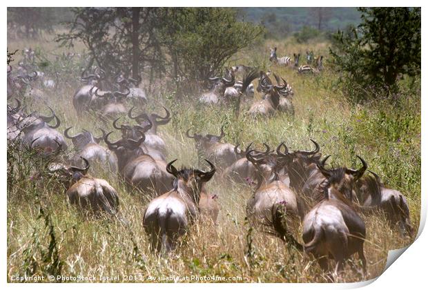 Serengeti National Park Print by PhotoStock Israel