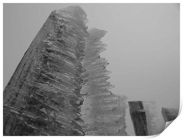 Icicle Fence Black and White Print by James Lamont