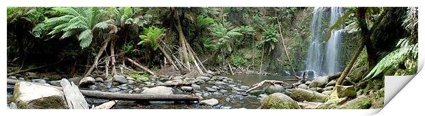 BEAUCHAMP FALLS, VICTORIA, AUSTRALIA Print by Eamon Fitzpatrick