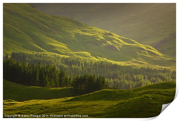 Sunlit green Scottish landscape Print by Gabor Pozsgai