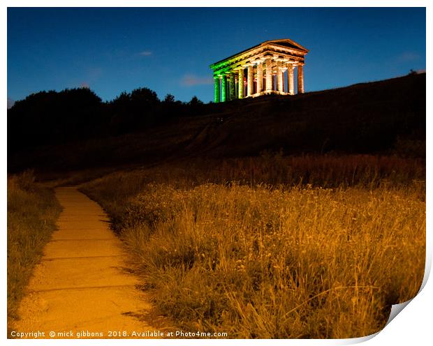 Penshaw Monument Sunderland  Print by mick gibbons