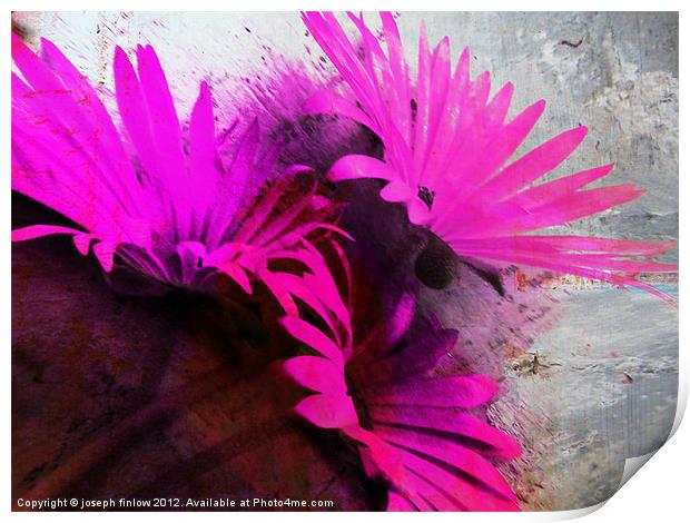 floral abstract Print by joseph finlow canvas and prints