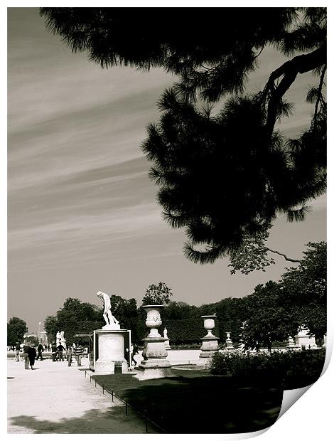 jardin des tuileries Print by joseph finlow canvas and prints