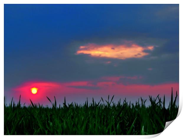 Sunset From The Grass Print by Erzsebet Bak