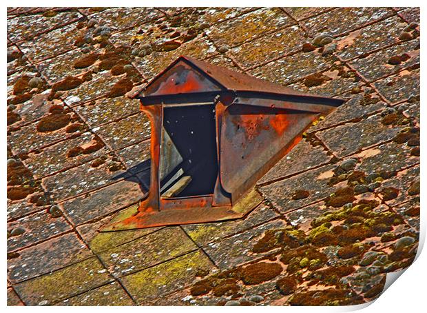 Old window on roof Print by Erzsebet Bak