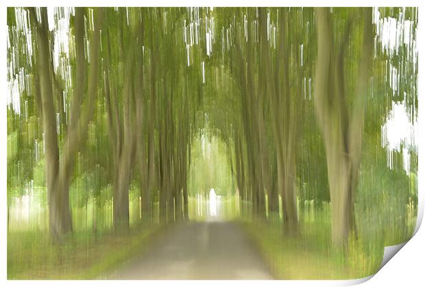 Abstract Trees Print by Sarah Couzens