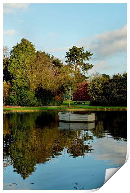 December in Burnby Hall Gardens Print by Sarah Couzens