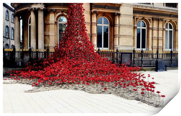 Poppies - City of Culture 2017, Hull Print by Sarah Couzens