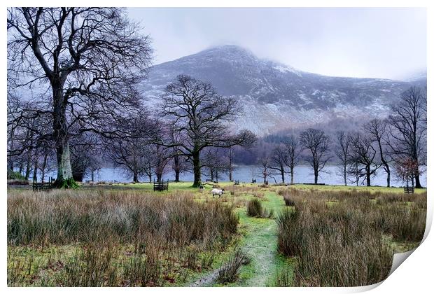 Frosty Buttermere Print by Sarah Couzens