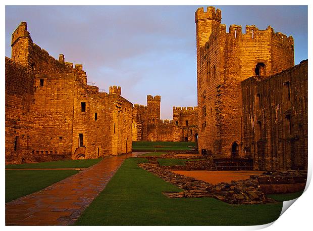 Caernarfon Castle Print by Stephen Brown