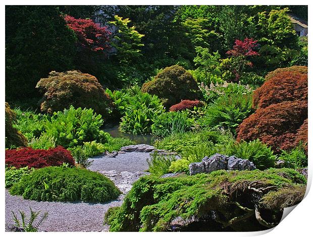 Gardens Print by Stephen Brown