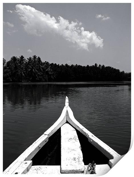 Kerala Backwaters Print by Thomas Seear