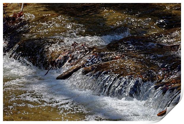 whirling water near Rasinari Print by Adrian Bud