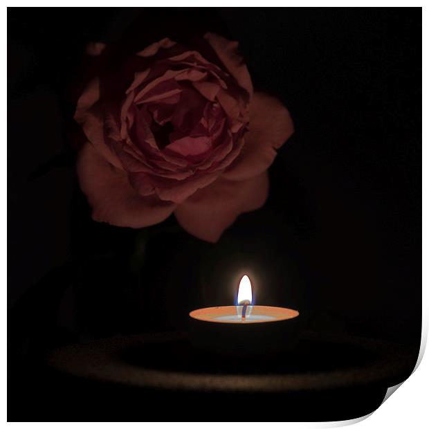 Rose Candle Print by Adrian Bud