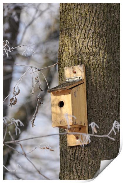 Litle box house for birds in winter tree Print by Adrian Bud