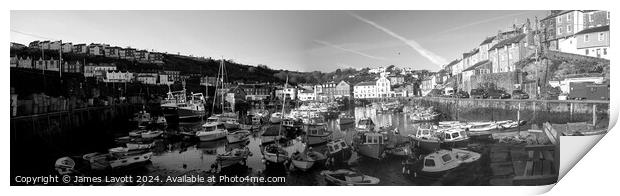 Mevagissey Panorama Print by James Lavott