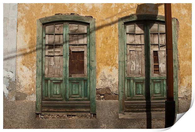 Decaying Green Window Frames Print by James Lavott