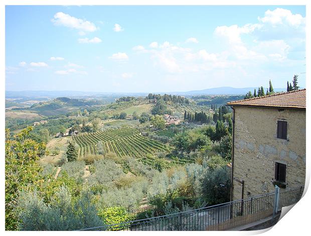 Tuscan Hills  - San Gimignano Print by David Jackson