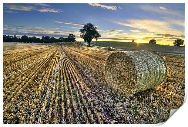 Last Of The Bales Print by Fee Easton