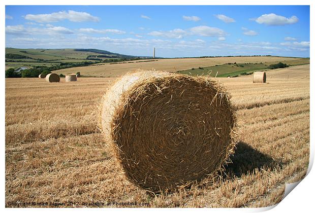 The Hay bale Print by mark blower