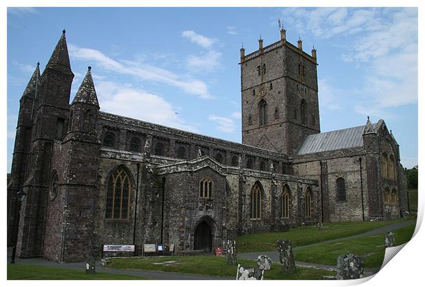 st davids cathedral Print by mark blower