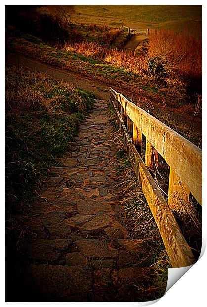 Country Steps Print by GARY KEYS