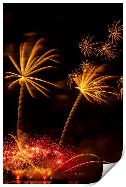  Palm Tree Fireworks Print by Steve Wilson