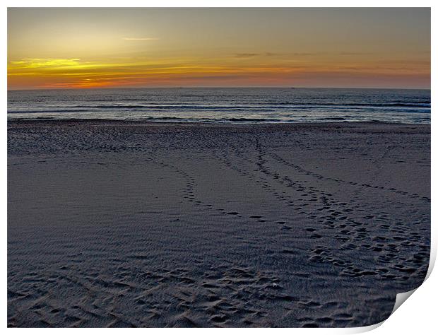 On the beach Print by Luis Lajas