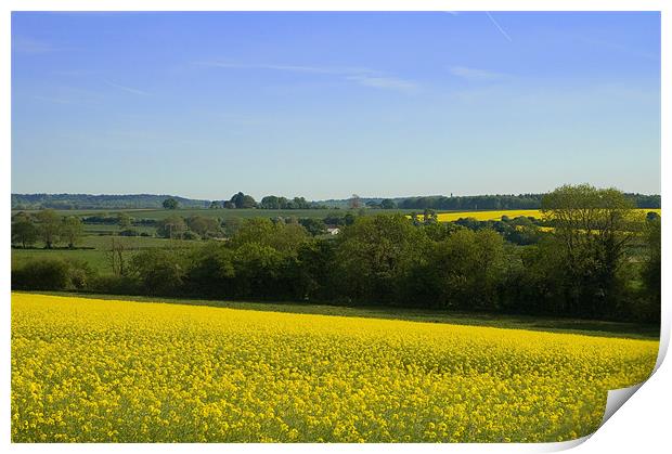 Dorset Countryside Print by James Battersby