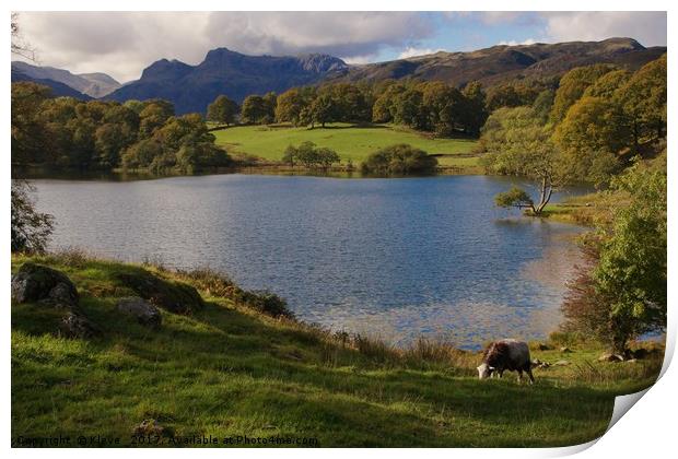 Loughrigg Tarn Print by Kleve 