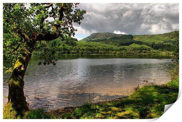 By The Side of Loch Ard Print by Jacqi Elmslie