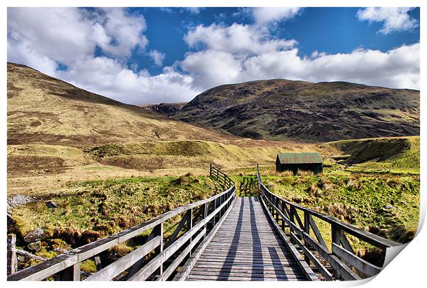 Wooden Bridge In Glen Roy Print by Jacqi Elmslie