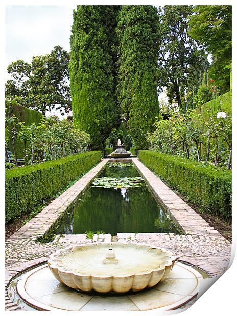Alhambra Garden Print by Jacqi Elmslie