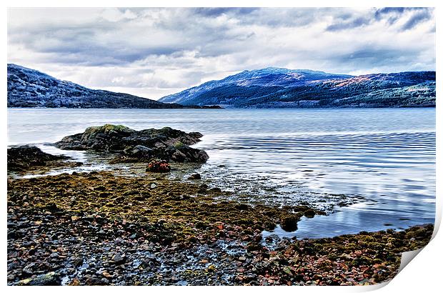 Solitude by a Scottish Loch Print by Jacqi Elmslie