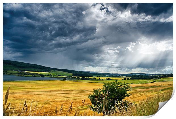 Storm Clouds and Sunbeams Print by Jacqi Elmslie