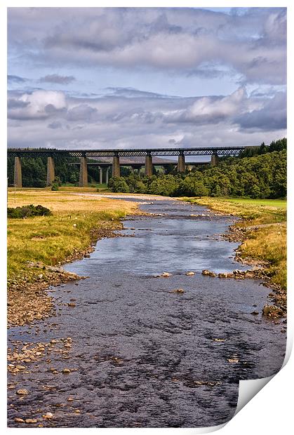 The Findhorn River Viaduct Print by Jacqi Elmslie