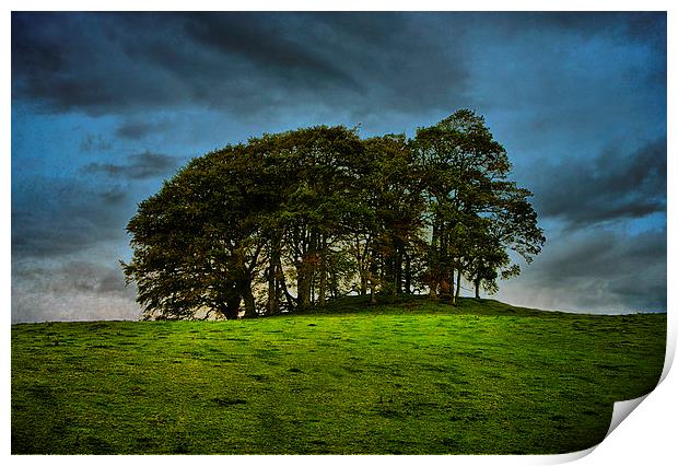 The Copse on the Hill Print by Jacqi Elmslie