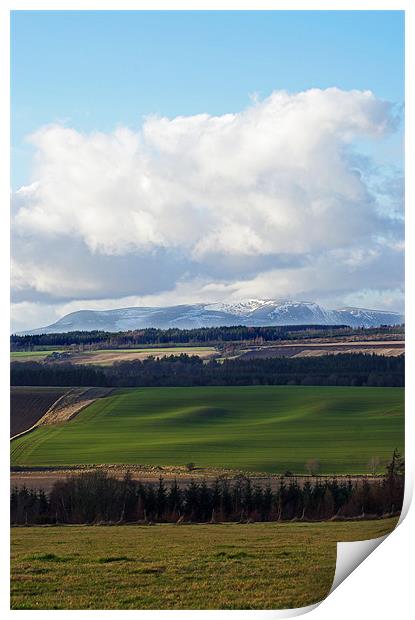 Across The Black Isle Print by Jacqi Elmslie