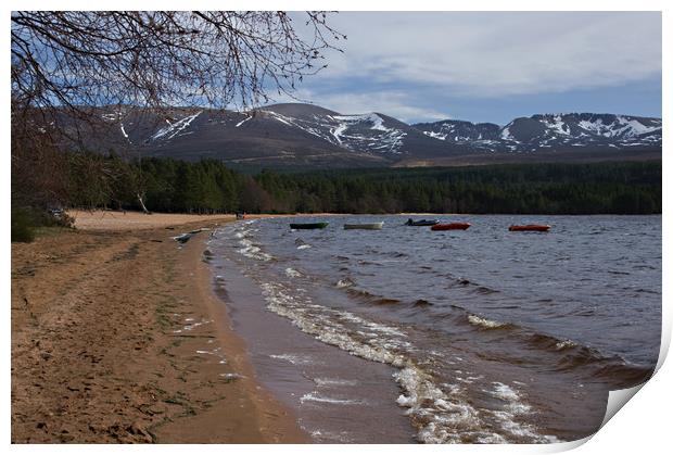 Waves on the beach at Loch Morlich Print by Jacqi Elmslie