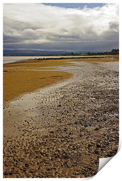 Along The Shore Print by Jacqi Elmslie