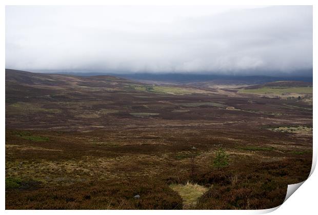 November Fog Highlands of Scotland Print by Jacqi Elmslie